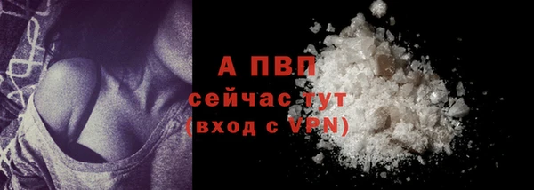 сатива Абаза