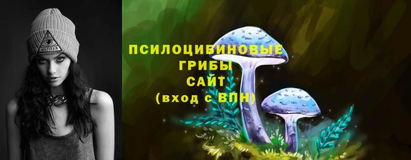 сатива Абаза