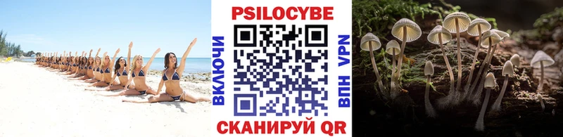 blacksprut онион  Советск  Галлюциногенные грибы Cubensis  закладка 